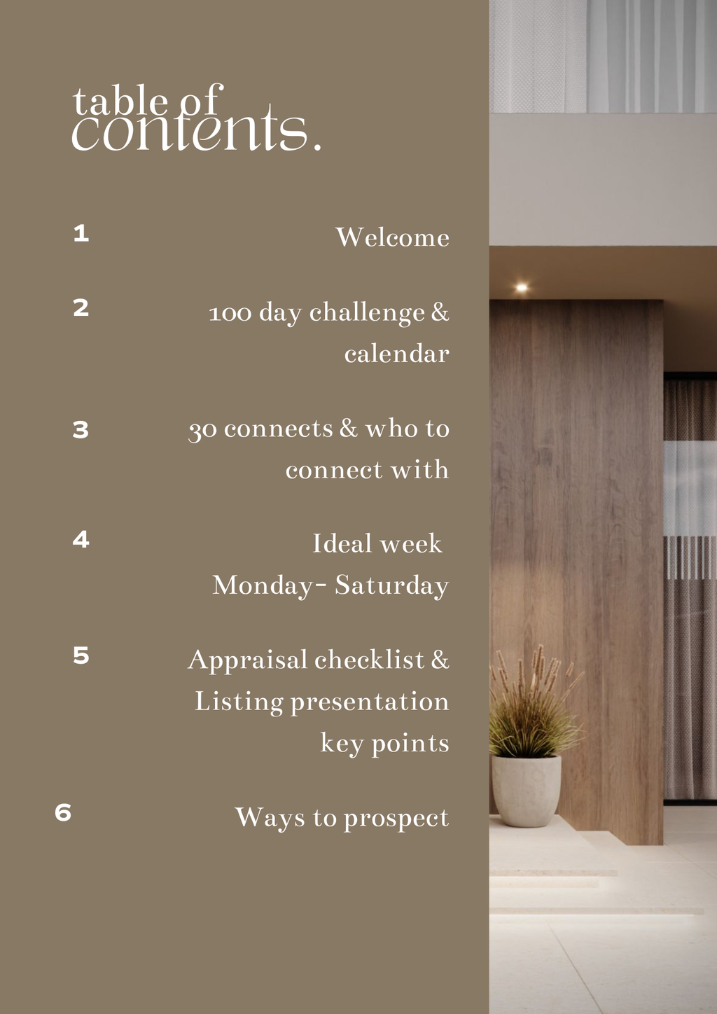 The SIX Figure  Agent Playbook - Digital Product